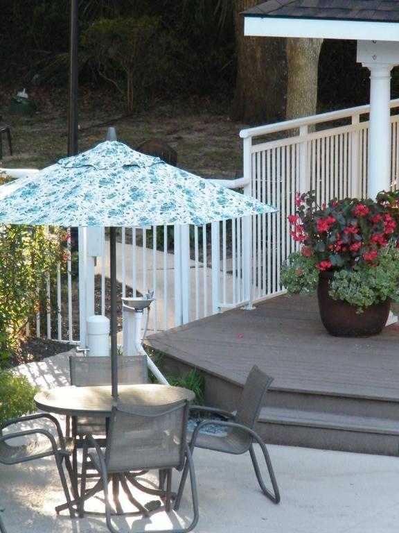 Palmera And Hilton Head Island