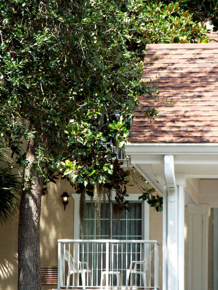 Palmera And Île de Hilton-Head